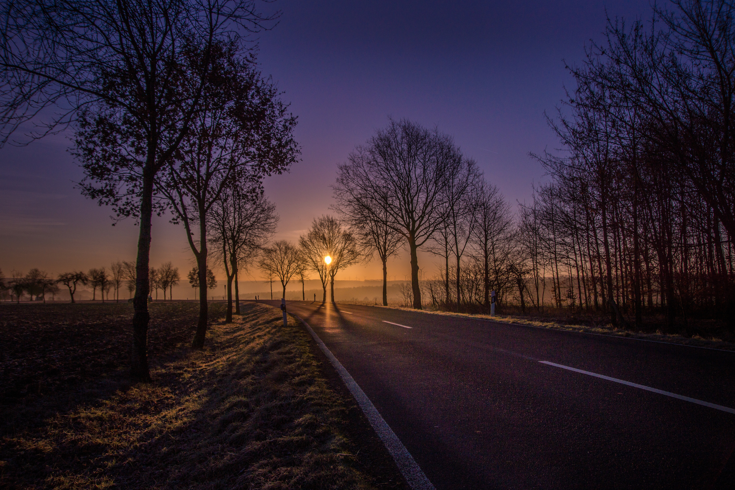 Road in the Early Morning